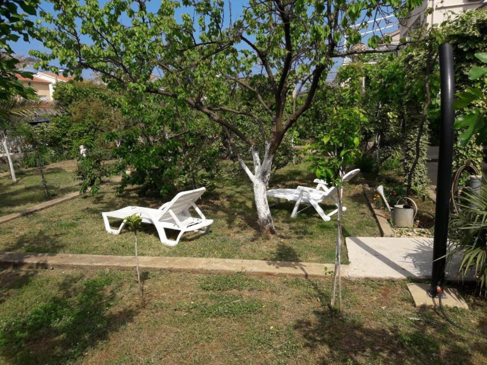 Apartments Amalia Zadar Rum bild